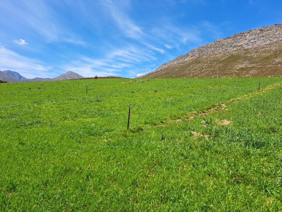 7 Bedroom Property for Sale in Riversdale Rural Western Cape